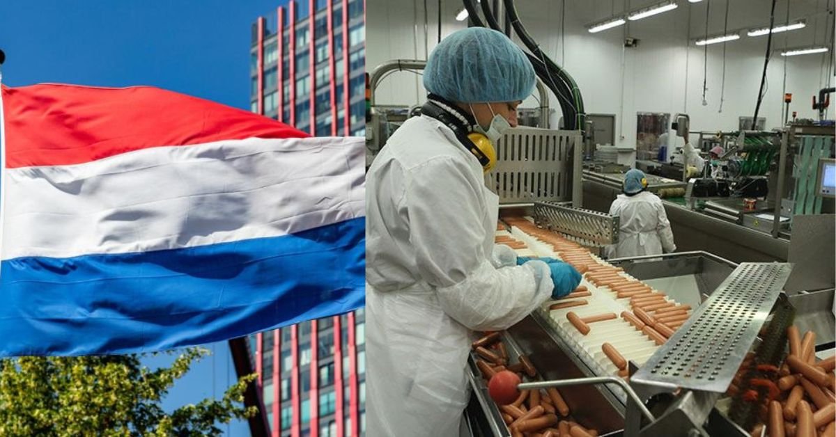 Netherlands Factory Packing Jobs – Visa Support