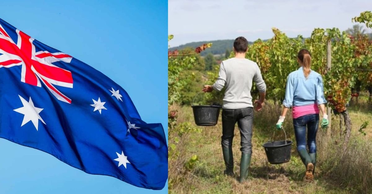 Australia Working Holiday Visa Jobs Explained